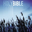 NIV, Value Outreach Bible, Paperback