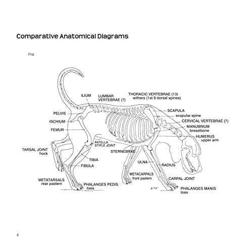 Dogsteps: A New Look, 3rd Edition (CompanionHouse Books) Definitive Manual to Canine Movement, Dog Anatomy, and Natural Gaits of Purebred Dogs; for Breeders, Judges, and Anyone Wanting to Show Dogs