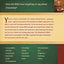 The Handbook of Bible Application (Life Application Reference)