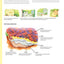 Plant Combinations for an Abundant Garden: Design and Grow a Fabulous Flower and Vegetable Garden (Creative Homeowner) Practical Advice, Step-by-Step Instructions, and a Comprehensive Plant Directory
