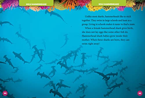 National Geographic Kids 5-Minute Shark Stories (5-Minute Stories)