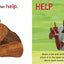 The Very Hungry Caterpillar's First Signs: ASL That Babies & Toddlers Can Use