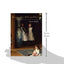 Sargent's Daughters: The Biography of a Painting