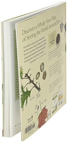 Keeping a Nature Journal: Discover a Whole New Way of Seeing