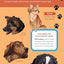 Furry, Friendly Tattoo Dogs & Puppies: 60 Temporary Tattoos That Teach