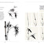 The Beginner's Guide to Chinese Painting: Plum, Orchid, Bamboo and Chrysanthemum