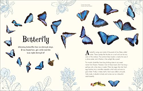 An Anthology of Intriguing Animals: Discover the Fascinating Truths of the Animal Kingdom