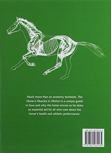 The Horse's Muscles in Motion