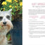 Home Cooking for Your Dog: 75 Holistic Recipes for a Healthier Dog