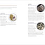 Geology for Kids: A Junior Scientist's Guide to Rocks, Minerals, and the Earth Beneath Our Feet