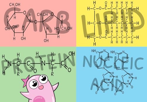 The Amoeba Sisters' Cartoon Guide to Biology: Science Simplified (Visual Learning Book for Science Class, Simple Biology Topics, Educational Illustrations and Facts)