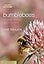 Bumblebees: Behaviour, Ecology, and Conservation