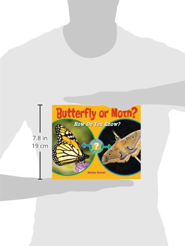 Butterfly or Moth?: How Do You Know? (Which Animal Is Which?)