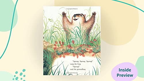 Home for a Bunny: A Classic Bunny Book for Kids (Little Golden Book)
