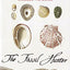 The Fossil Hunter: Dinosaurs, Evolution, and the Woman Whose Discoveries Changed the World (MacSci)