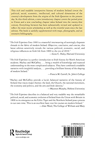The Irish Experience Since 1800: A Concise History
