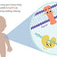 Baby Biochemist: Enzymes (Baby University) by Florance, Cara