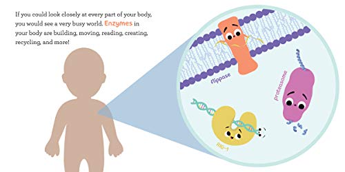 Baby Biochemist: Enzymes (Baby University) by Florance, Cara