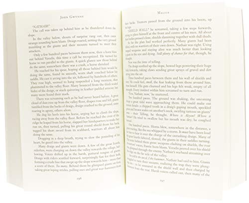 Malice (The Faithful and the Fallen, 1)