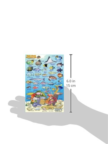 Virgin Islands Reef Creatures Guide Franko Maps Laminated Fish Card 4" x 6"
