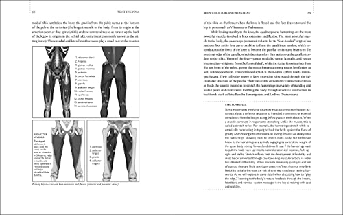 Teaching Yoga: Essential Foundations and Techniques by Steph