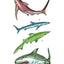 Sharks Tattoos (Dover Little Activity Books: Sea Life)
