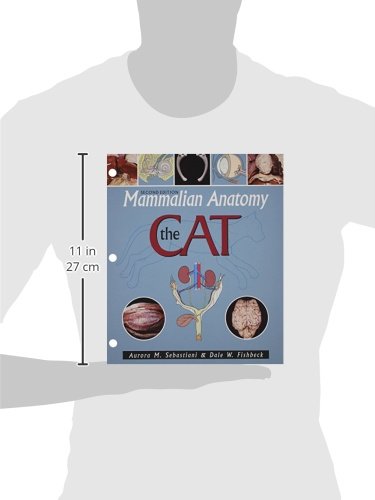 Mammalian Anatomy: The Cat