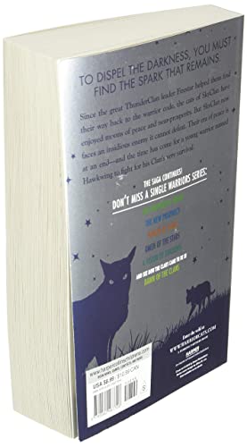 Warriors Super Edition: Hawkwing's Journey (Warriors Super Edition, 9)