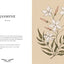 Floriography: An Illustrated Guide to the Victorian Language of Flowers (Volume 1) (Hidden Languages)