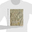 Assyrian Reliefs from the Palace of Ashurnasirpal II: A Cultural Biography