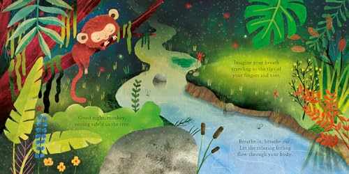 Down the Sleepy River: A Mindful Bedtime Book