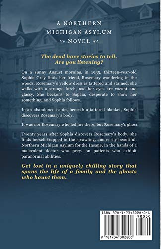 Some Can See: A Northern Michigan Asylum Novel