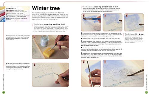 Ready to Paint in 30 Minutes: Trees & Woodlands in Watercolour