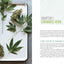 The Easy Cannabis Cookbook: 60+ Medical Marijuana Recipes for Sweet and Savory Edibles