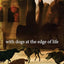 With Dogs at the Edge of Life