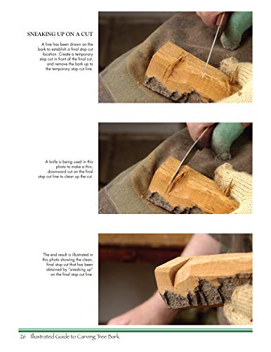 Illustrated Guide to Carving Tree Bark: Releasing Whimsical Houses & Woodspirits from Found Wood (Fox Chapel Publishing) Step-by-Step Instructions, Advice for Painting, Finishing, Cross-Grain, & More
