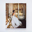 Ballerina: Fashion?s Modern Muse