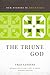 The Triune God (New Studies in Dogmatics)