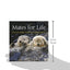Mates for Life: Devoted Couples from the Animal Kingdom