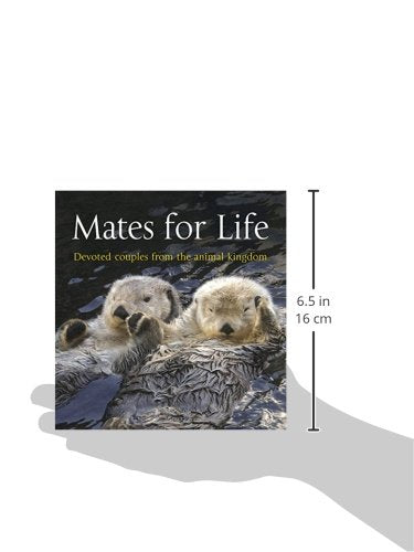 Mates for Life: Devoted Couples from the Animal Kingdom
