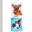 Brain Games - Sticker by Number: Dogs & Puppies (Easy - Square Stickers): Create Beautiful Art With Easy to Use Sticker Fun!
