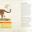 The Big Book of Wild Cats: Fun Animal Facts for Kids