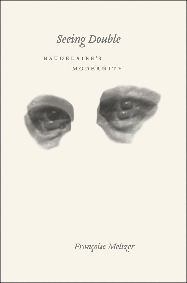 Seeing Double: Baudelaire's Modernity by Meltzer, Fran