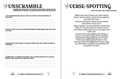 Bible Power Puzzles: 500 Scripture-Inspired Games-Learn the Word of God Through the Power of Puzzles! (Large Print)