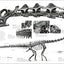 Dinosaurs and Prehistoric Life: The Definitive Visual Guide to Prehistoric Animals (DK Definitive Visual Encyclopedias)