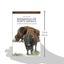 Mammals of North America: Second Edition (Princeton Field Guides)