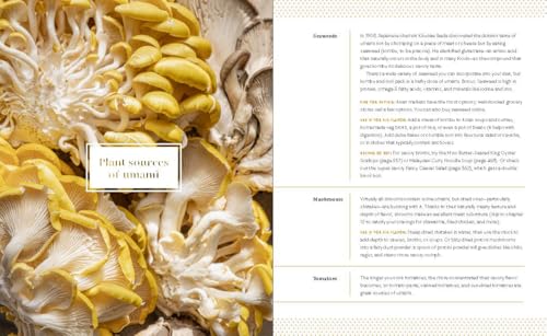 Big Vegan Flavor: Techniques and 150 Recipes to Master Vegan