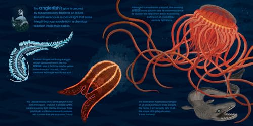 Red Shed Lifesize Ocean Animals.