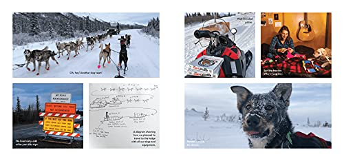 Dogs on the Trail: A Year in the Life