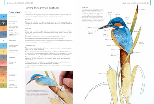 A-Z of Bird Portraits: An illustrated guide to painting beautiful birds